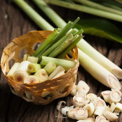 Lemongrass Large Marble Candle 450g